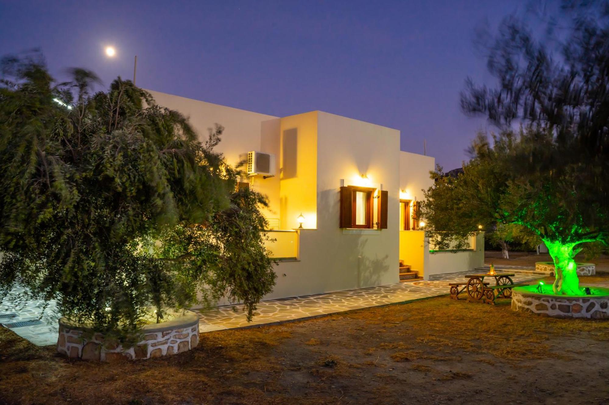 Olive Studios Karpathos Studio #4 エクステリア 写真